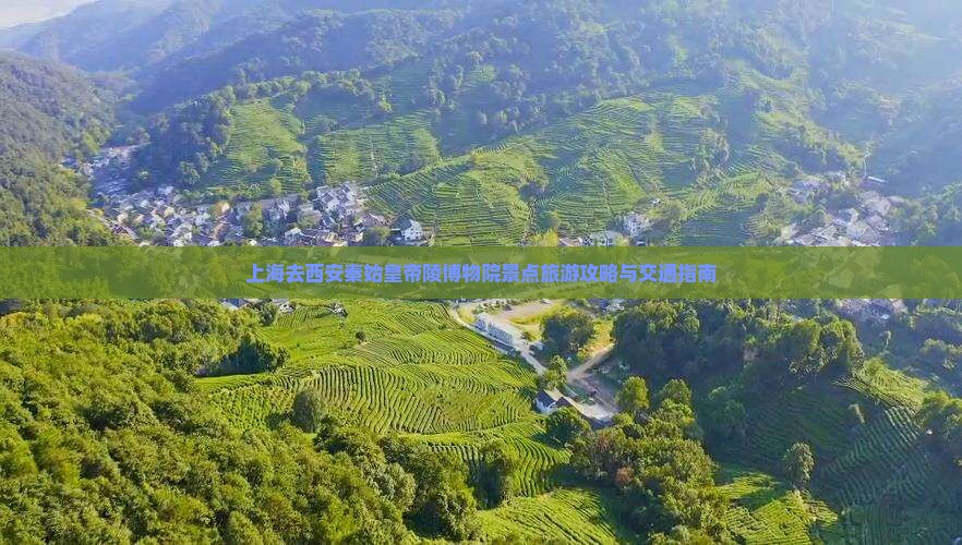 上海去西安秦始皇帝陵博物院景点旅游攻略与交通指南