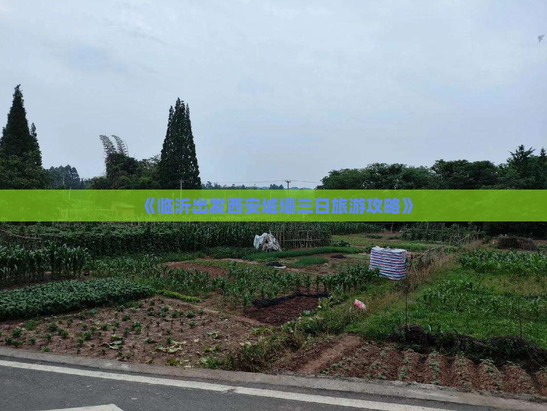 《临沂出发西安城墙三日旅游攻略》