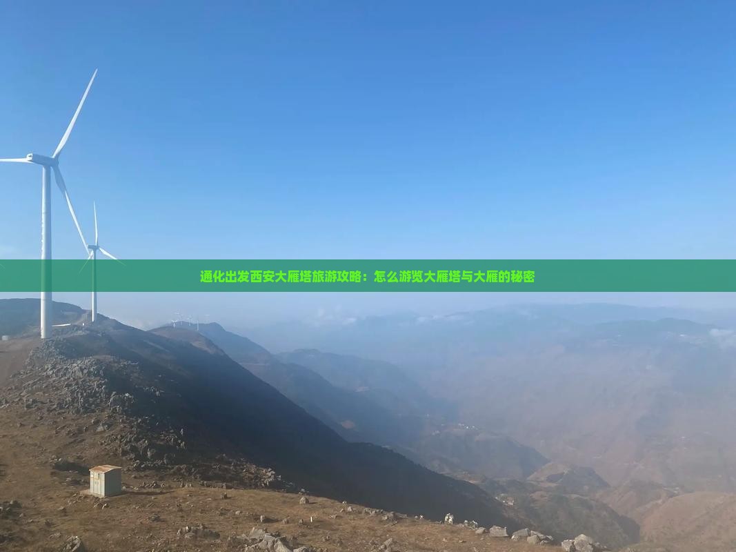 通化出发西安大雁塔旅游攻略：怎么游览大雁塔与大雁的秘密