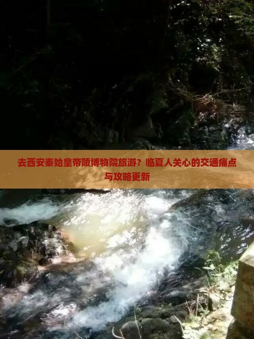 去西安秦始皇帝陵博物院旅游？临夏人关心的交通痛点与攻略更新