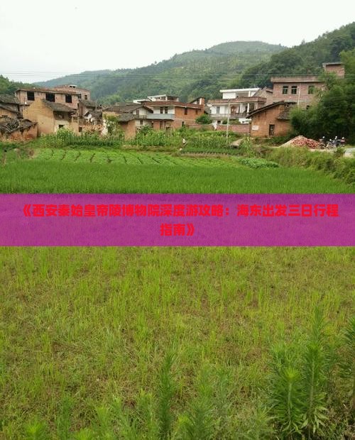 《西安秦始皇帝陵博物院深度游攻略：海东出发三日行程指南》