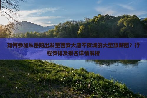 如何参加从岳阳出发至西安大唐不夜城的大型旅游团？行程安排及报名详情解析
