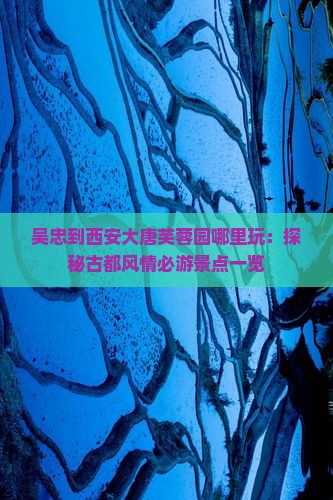 吴忠到西安大唐芙蓉园哪里玩：探秘古都风情必游景点一览