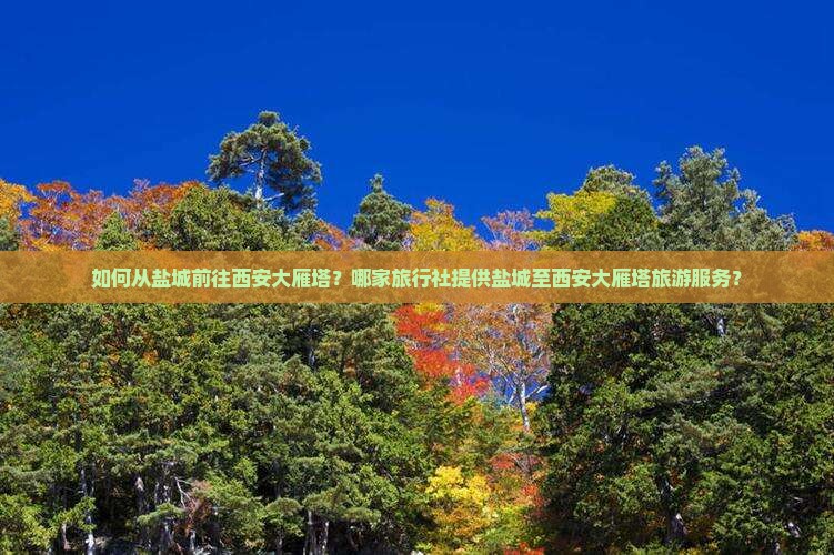 如何从盐城前往西安大雁塔？哪家旅行社提供盐城至西安大雁塔旅游服务？
