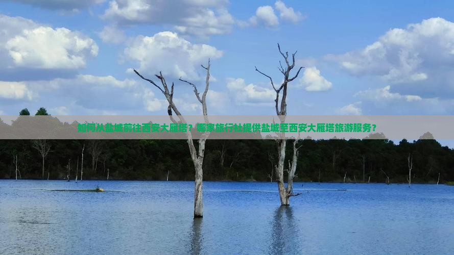 如何从盐城前往西安大雁塔？哪家旅行社提供盐城至西安大雁塔旅游服务？