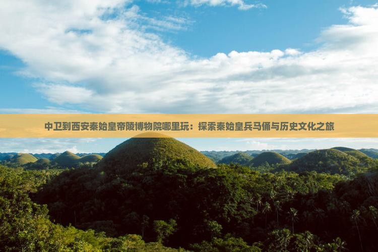 中卫到西安秦始皇帝陵博物院哪里玩：探索秦始皇兵马俑与历史文化之旅