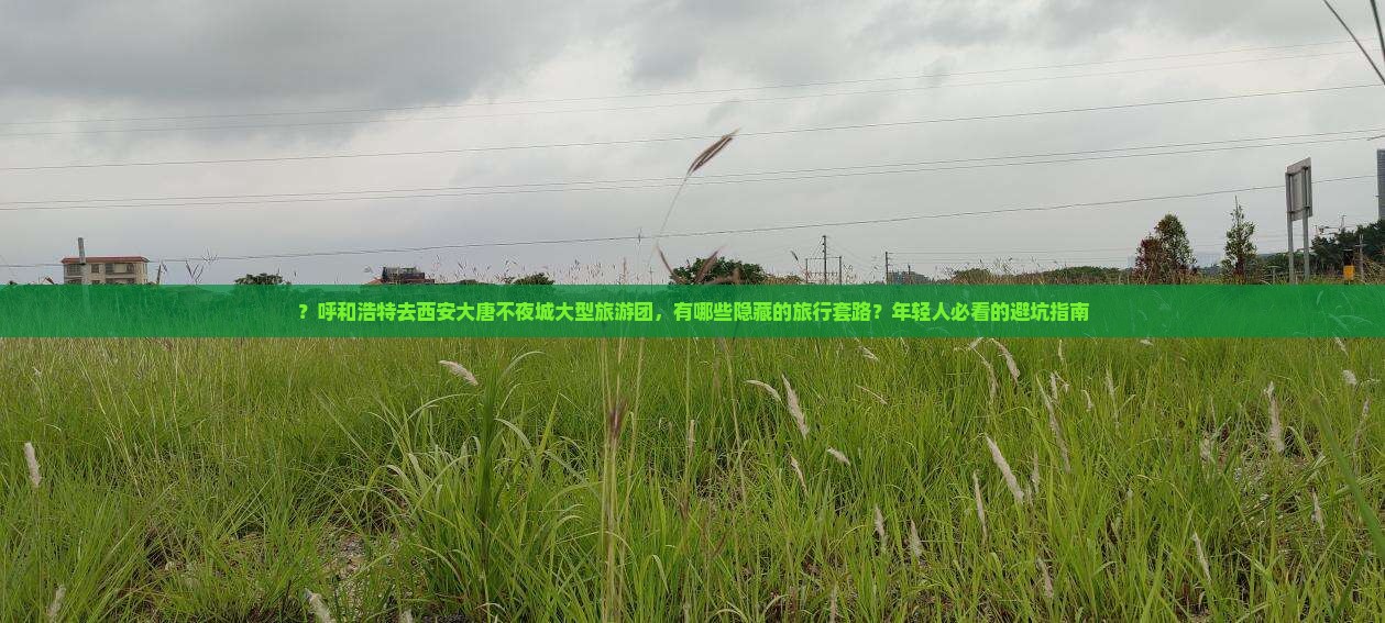 ？呼和浩特去西安大唐不夜城大型旅游团，有哪些隐藏的旅行套路？年轻人必看的避坑指南