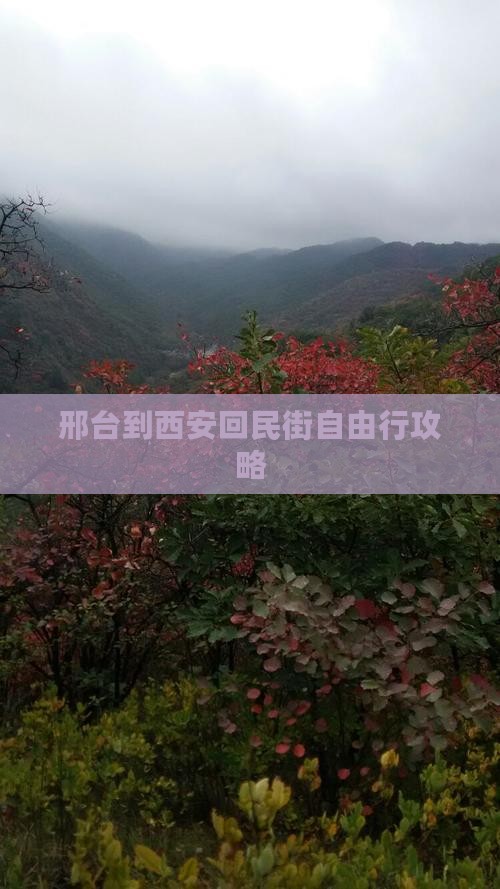 邢台到西安回民街自由行攻略