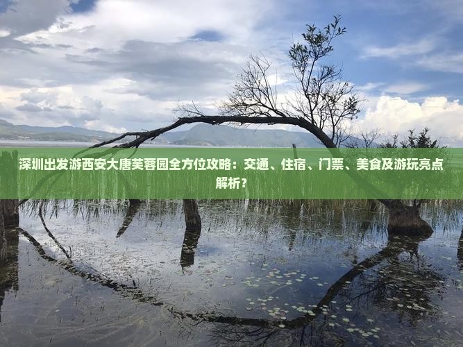 深圳出发游西安大唐芙蓉园全方位攻略：交通、住宿、门票、美食及游玩亮点解析？