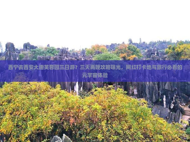 西宁去西安大唐芙蓉园三日游？三天两晚攻略曝光，网红打卡地与旅行必看的元宇宙体验