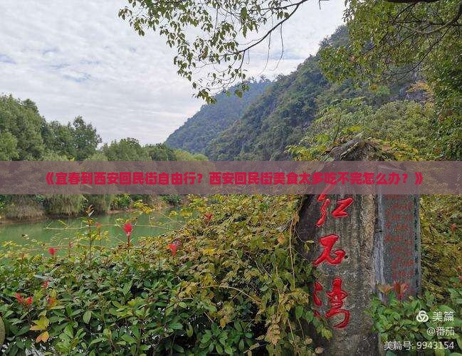 《宜春到西安回民街自由行？西安回民街美食太多吃不完怎么办？》