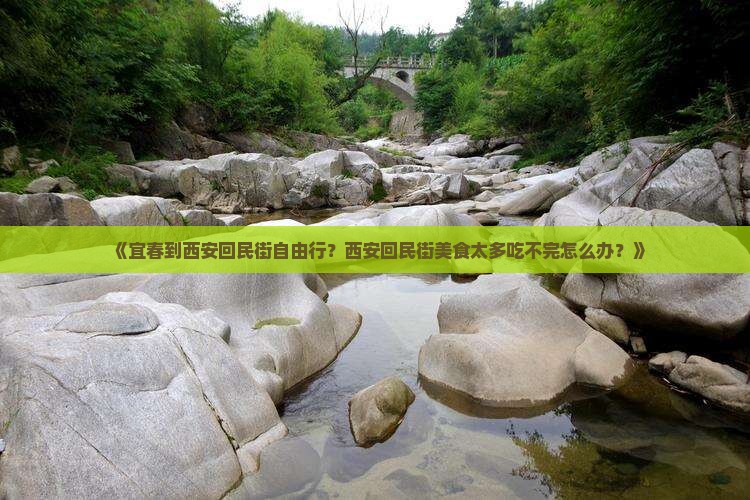 《宜春到西安回民街自由行？西安回民街美食太多吃不完怎么办？》
