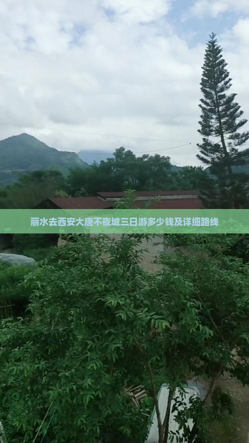 丽水去西安大唐不夜城三日游多少钱及详细路线