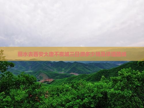 丽水去西安大唐不夜城三日游多少钱及详细路线