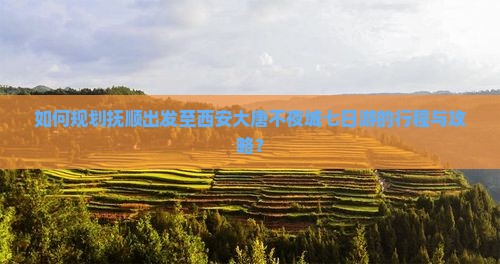 如何规划抚顺出发至西安大唐不夜城七日游的行程与攻略？