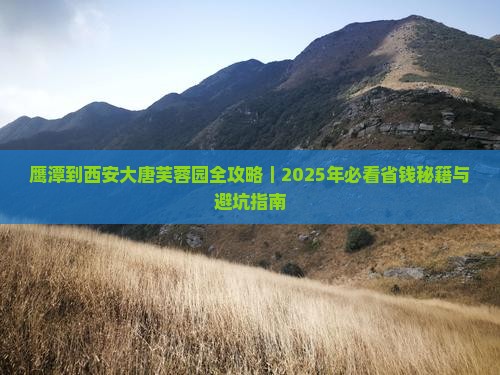 鹰潭去西安大唐芙蓉园攻略