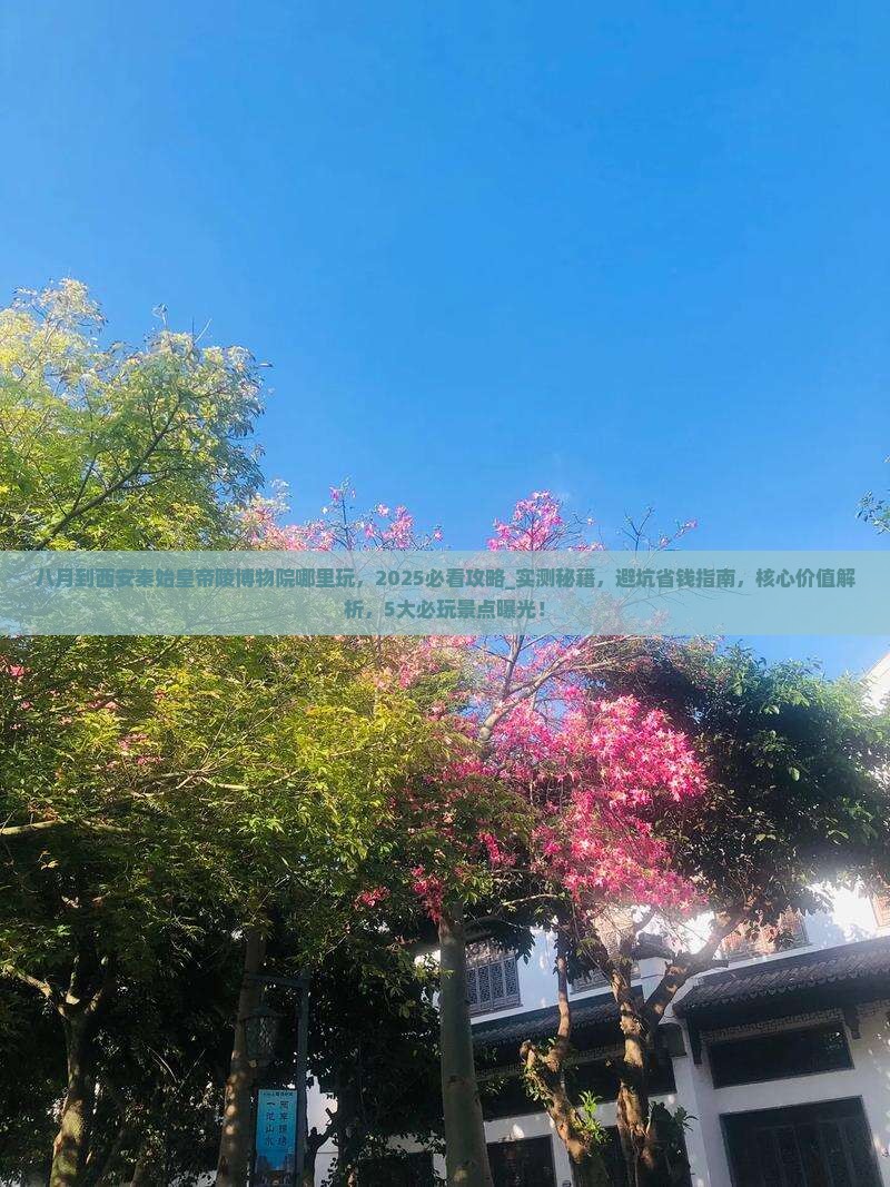 八月到西安秦始皇帝陵博物院哪里玩