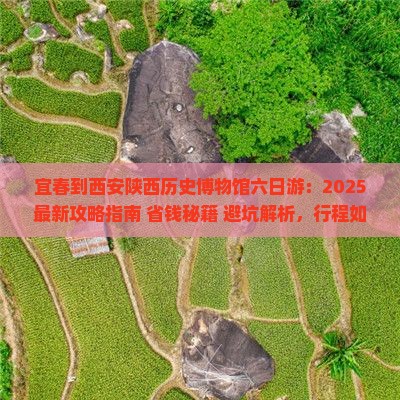 宜春到西安陕西历史博物馆六日游