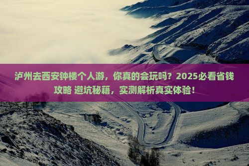 泸州去西安钟楼个人游