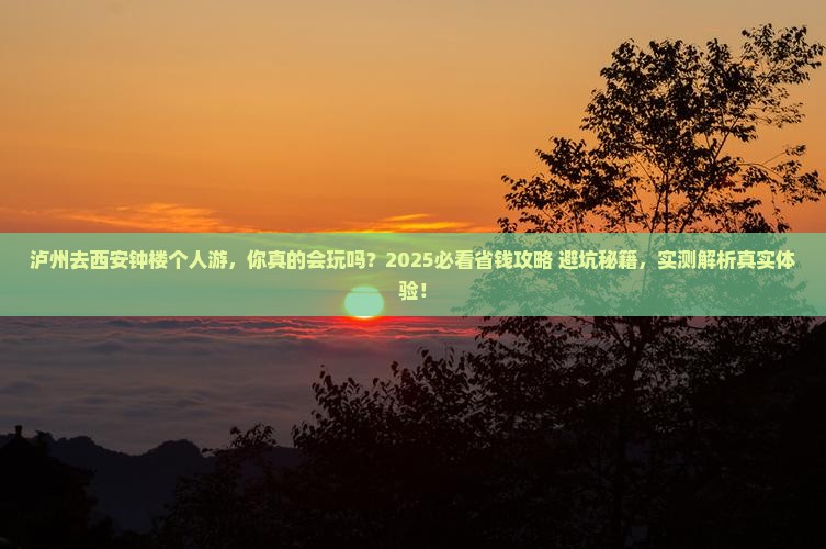 泸州去西安钟楼个人游