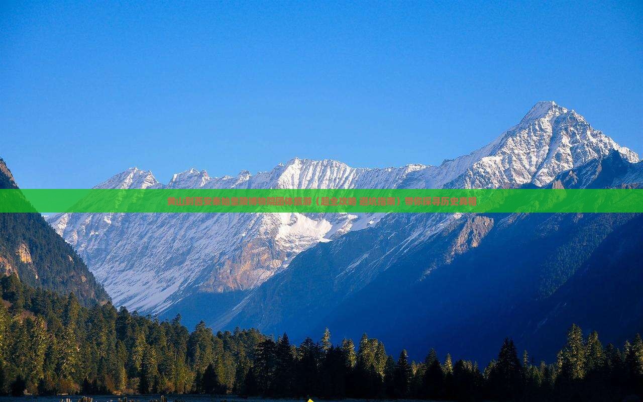 黄山到西安秦始皇帝陵博物院团体旅游
