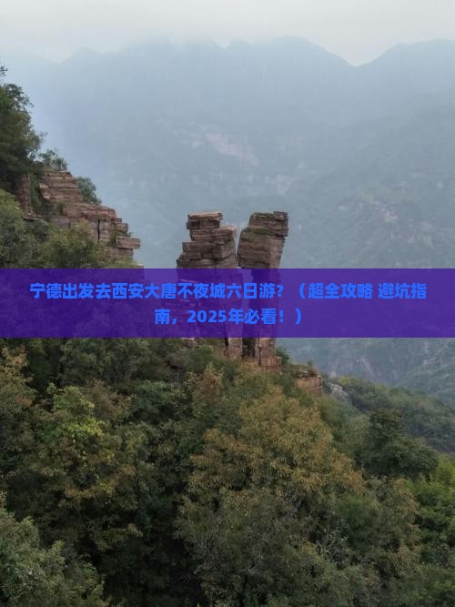 宁德到西安大唐不夜城六日游