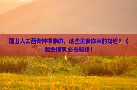 眉山去西安钟楼旅游小吃