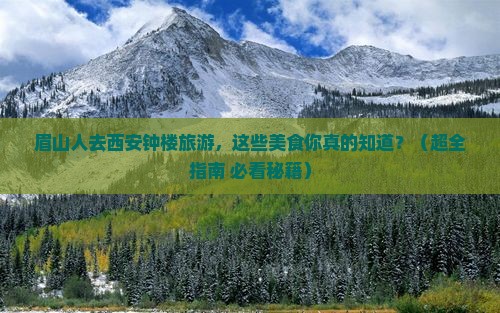 眉山去西安钟楼旅游小吃