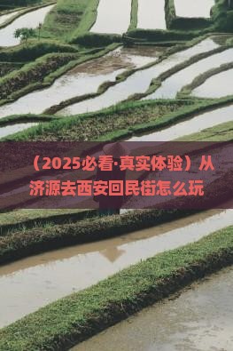 济源到西安回民街旅行社