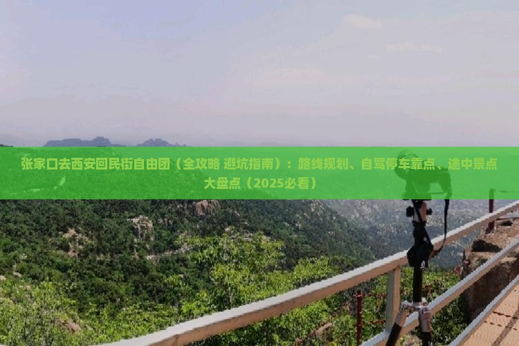 张家口去西安回民街自由团
