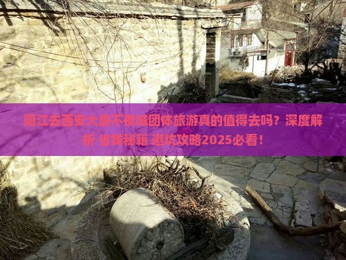 阳江去西安大唐不夜城团体旅游