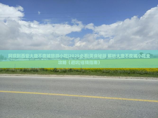 阿坝到西安大唐不夜城旅游小吃