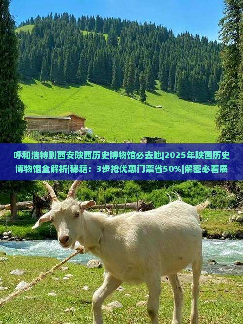 呼和浩特到西安陕西历史博物馆必去地