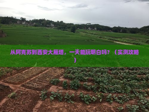 阿克苏到西安大雁塔一日游