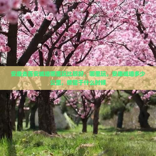 安康去西安城墙哪里玩