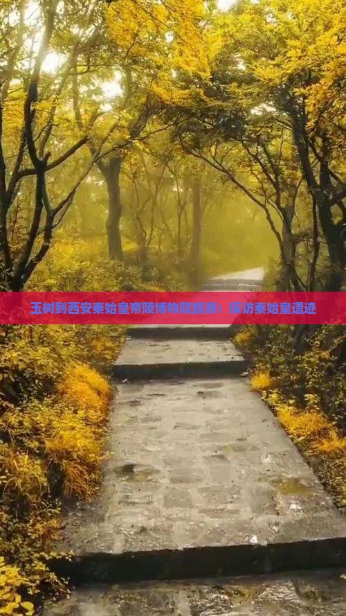 玉树到西安秦始皇帝陵博物院旅游