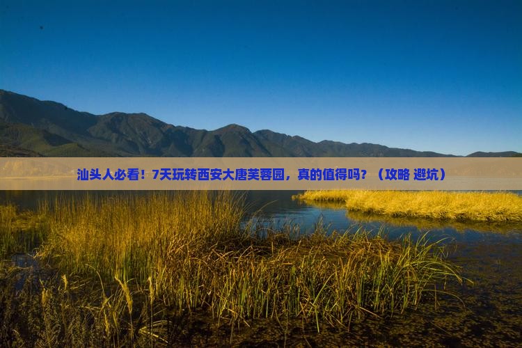 汕头到西安大唐芙蓉园七日游