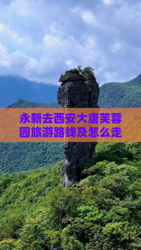 永新去西安大唐芙蓉园旅游