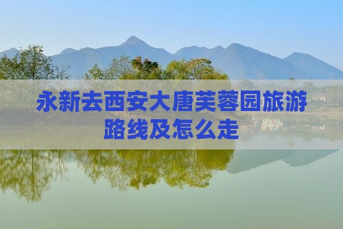 永新去西安大唐芙蓉园旅游