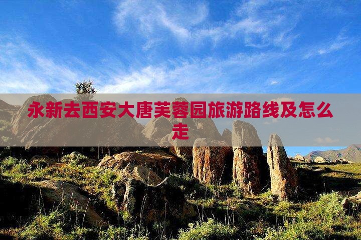 永新去西安大唐芙蓉园旅游