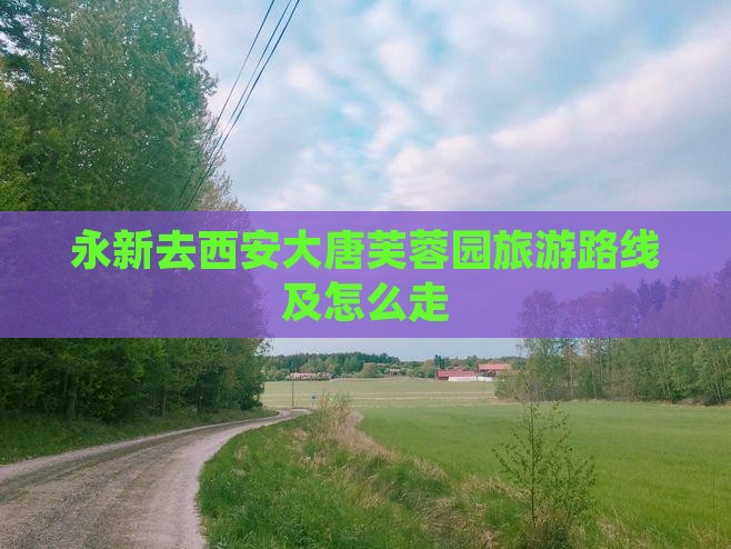 永新去西安大唐芙蓉园旅游