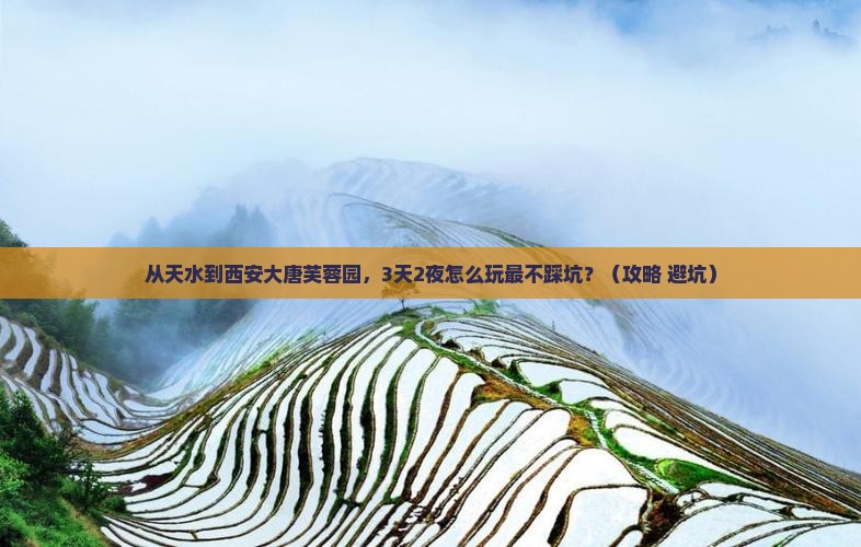天水去西安大唐芙蓉园景点