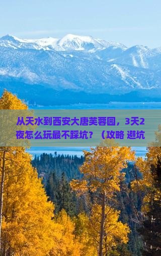 天水去西安大唐芙蓉园景点