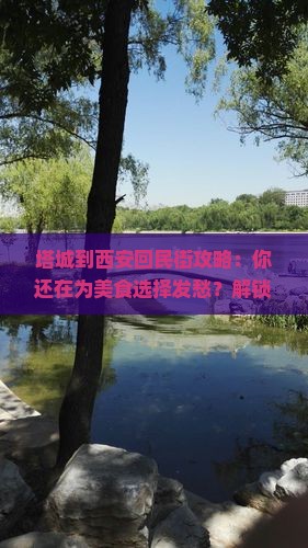 塔城到西安回民街攻略