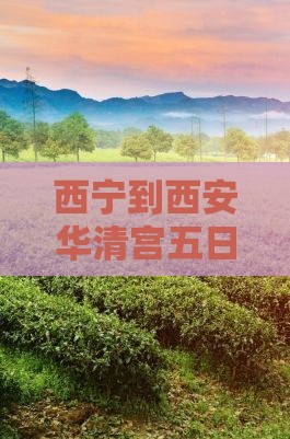 西宁到西安华清宫五日游