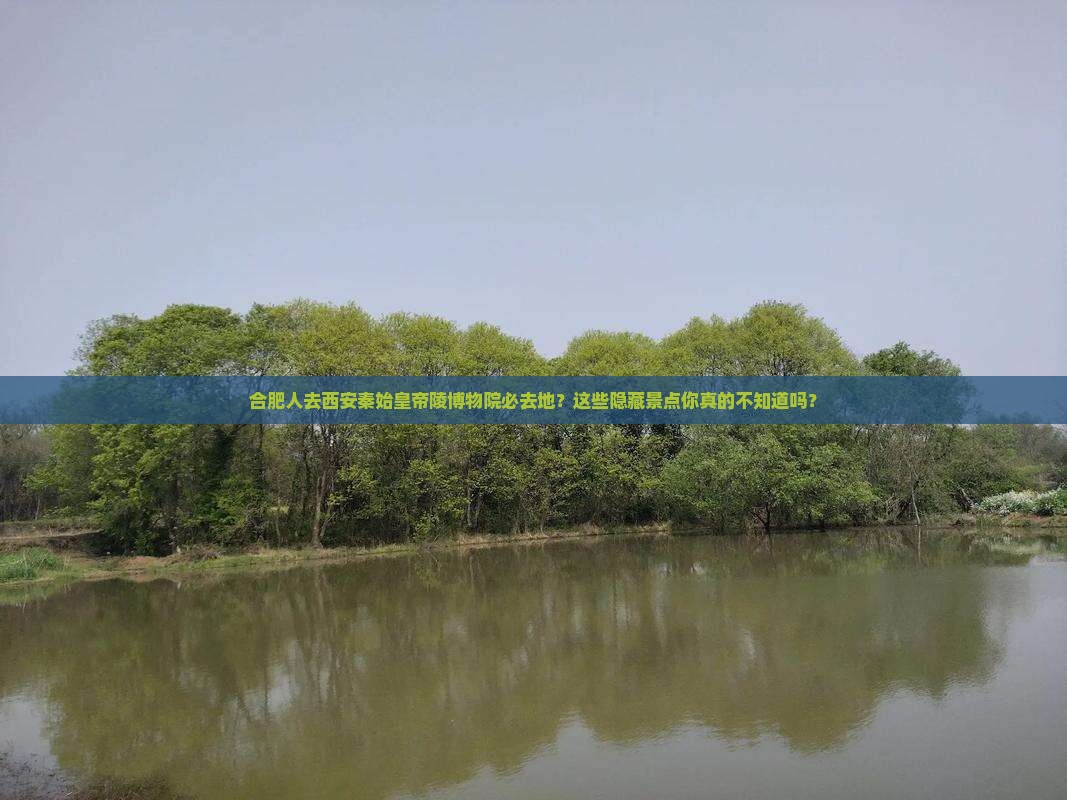 合肥去西安秦始皇帝陵博物院必去地