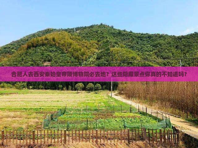 合肥去西安秦始皇帝陵博物院必去地
