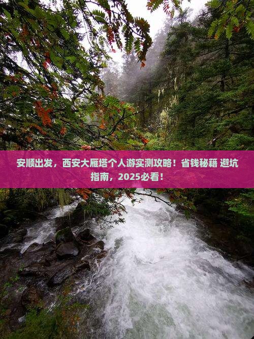 安顺到西安大雁塔个人游