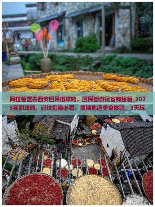 阿拉善盟去西安回民街攻略