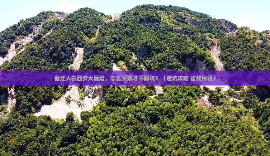 宿迁去西安大雁塔门票